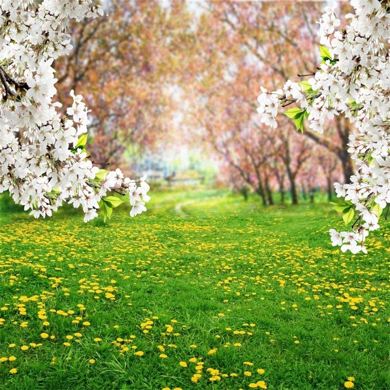 AOFOTO 5x5ft Spring Scenic Backdrop Sweet White Cherry Flowers Photography Background Meadow Floral Blossoms Garden Florets Grassland Park Flower Trees Kid Baby Portrait Photo Shoot Studio Props Vinly - Image 1